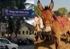*पंढरपूर शहर पोलिसांची दमदार कामगिरी मात्र महसूल खात्याचे अधिकारी झोपेच्या सोगांत:-*
