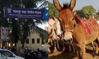 *पंढरपूर शहर पोलिसांची दमदार कामगिरी मात्र महसूल खात्याचे अधिकारी झोपेच्या सोगांत:-*