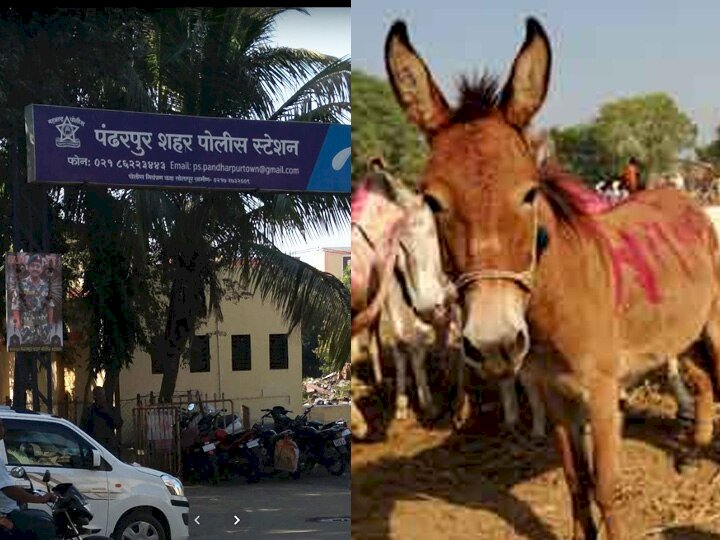 *पंढरपूर शहर पोलिसांची दमदार कामगिरी मात्र महसूल खात्याचे अधिकारी झोपेच्या सोगांत:-*