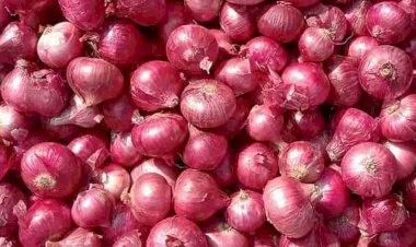 सोलापुरात कांद्याने गाठले उंच शिखर, पहा आजचे कांदा बाजार भाव..!