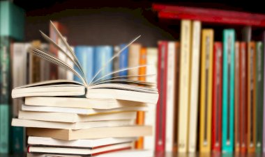 सोलापुरात जिल्हा ग्रंथालय कार्यालयाच्या वतीने २ दिवसीय ग्रंथोत्सवाचे आयोजन - जिल्हा ग्रंथालय अधिकारी संतोष कुमार जाधव,