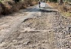 सिद्धेवाडी ते तावशी रस्त्याची प्रचंड दुरावस्था..!