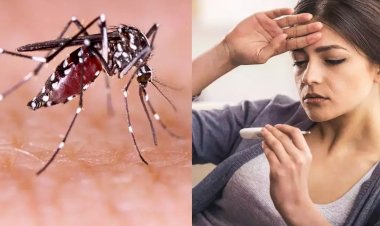 हिवताप / डेंग्यू नागरिकांनी काय काळजी घ्यावी जागतिक हिवताप दिनानिमित्त २५ एप्रिल रोजी विशेष जनजागृती मोहिमेचे आयोजन - डॉ. एकनाथ बोधले