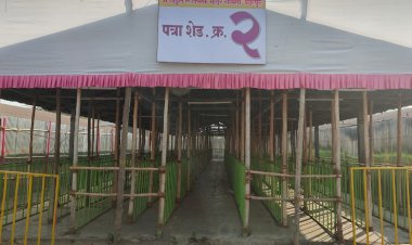 पंढरपूर माघ यात्रा 2024 साठी आलेल्या वारकरी भाविकांच्या सोईसाठी मंदिर समिती सुसज्ज..  सुलभ व जलद दर्शनाला प्राधान्य देणार;   यंदा प्रथमच पत्राशेड येथे अन्नछत्र;  दर्शनरांगेत कार्तिकी प्रमाणेच राहणार सोई सुविधा;- गहिनीनाथ महाराज औसेकर