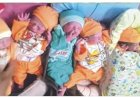 अबब! एकाच वेळी सहा बाळांना दिला जन्म; मातेसह चार मुले व दोन मुली ठणठणीत
