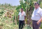 पंढरपूर तालुक्यातील सिद्धेवाडी ,अनवली व एकलासपूर नुकसानग्रस्त पिकांची प्रांताधिकारी सचिन इथापे यांनी केली पाहणी