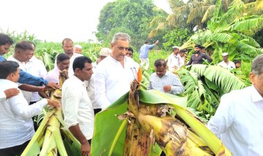 अवकाळी पावसाने पिकांचे नुकसानग्रस्त शेतकऱ्यांना आर्थिक मदत मिळवून देणार :- माजी आमदार प्रशांत परिचारक  नुकसानग्रस्त पिकशेतीची परिचारक यांनी  केली पाहणी