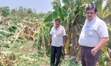 पंढरपूर तालुक्यातील सिद्धेवाडी ,अनवली व एकलासपूर नुकसानग्रस्त पिकांची प्रांताधिकारी सचिन इथापे यांनी केली पाहणी