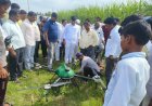 वसंतराव काळे सहकारी साखर कारखान्याच्या वतीने शेतीवर फवारणीचे नवीन प्रात्यक्षिकरण ,  पिराची कुरोली सभासद शेतकरी पांडुरंग कौलगे यांच्या शेतीवर केला प्रयोग,  ड्रोनच्या सहाय्याने शेती फवारणी करणे सोईचे:- चेअरमन-, कल्याणराव काळे