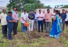 बार्शीच्या कॉलेज ऑफ एज्युकेशनमध्ये "वृक्षोत्सव पंधरवडा" उत्साहात संपन्न..