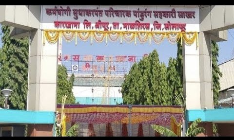 श्री. पांडुरंग कारखान्याकडून सणासाठी प्रती टन ५० रुपयांप्रमाणे ऊस बिल जमा
