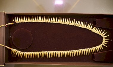 श्री विठ्ठल - रूक्मिणी मातेच्या चरणी 9 लाख किंमतीचा सोन्याचा हार अर्पण,