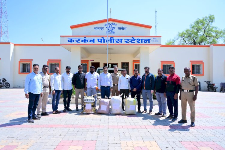 जळोलीत शेतकऱ्याकडून ५,६५ ,६४०किंमतीचा गांजा जप्त   साठवणुकदार यांचेवर करकंब पोलीसांची कारवाई