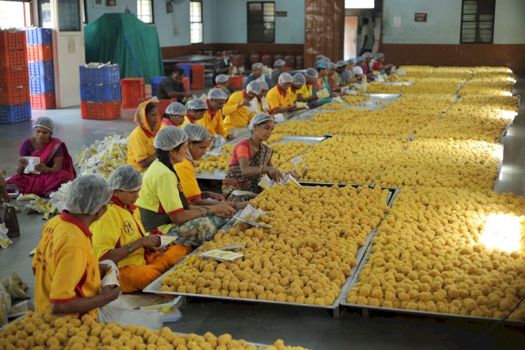 पंढरपूर चैत्री यात्रेसाठी 6 लक्ष बुंदी लाडू प्रसादाची निर्मिती,  एकादशीला 60 हजार राजगिरा लाडू प्रसाद : कार्यकारी अधिकारी राजेंद्र शेळके.