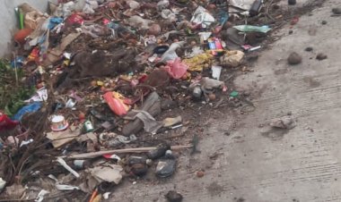 तुंगत येथे महामार्गावर दुर्गंधीयुक्त कचऱ्याचे ढिग  ◼️ चकाचक पालखी मार्गावर घाणीचे साम्राज्य  शासनाचा आरोग्य  विभागच आजारी,..  ◼️ पंढरीला विठुरायाच्या दर्शनासाठी येणाऱ्या भाविकांचे आरोग्य धोक्यात ,..  ◼️ आरोग्य खात्याचा गलथान कारभार भाविकांमध्ये तीव्र नाराजी- आरोग्य विभागाचे अधिकारी, कर्मचारी डोळे असून आंधळे..