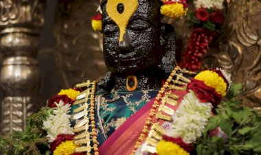 श्री विठ्ठल - रुक्मिणी मातेच्या चरणी सोन्याचा तुळशीहार अर्पण,