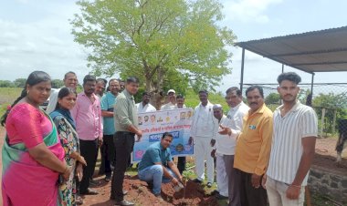 महसूल सप्ताह निमित्त पंढरपूर तालुक्यात वृक्षारोपण
