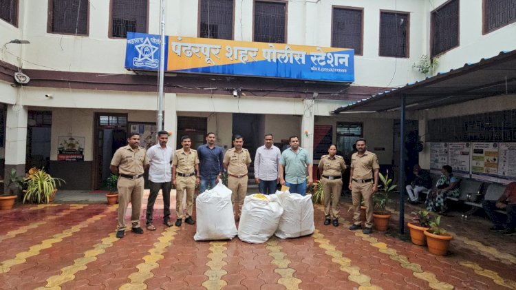 पंढरपुर शहर पोलीस स्टेशनची धमाकेदार कारवाई   ◼️  अवैद्य मार्गाने सुगंधीत तंबाखु विक्री करणाऱ्यावर गुन्हा दाखल.