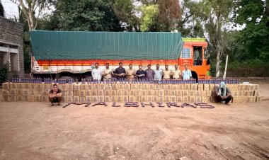 राज्य उत्पादन शुल्क भरारी पथकाची गोवा बनावटीच्या विदेशी मद्य वाहतूकीवर माळशिरस मध्ये धडक कारवाई   ◼️ 1 कोटी 24 लाख 71 हजार  रुपयांचा मुददेमाल जप्त