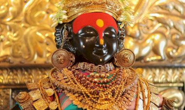 रक्षाबंधन (राखी पौर्णिमा)  निमित्त श्री विठ्ठल व रुक्मिणी मातेस पारंपरिक अलंकार परिधान.